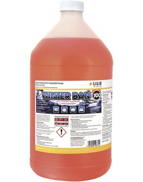Frostschutzmittel Winter Ban 3,78 l