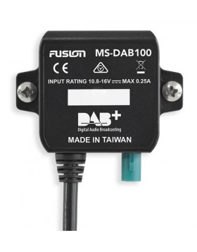 DAB-Modul MS-DAB100