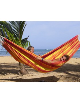 ΑΙΩΡΑ BARBADOS PAPAYA