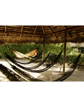 ΑΙΩΡΑ ADVENTURE HAMMOCK COYOTE