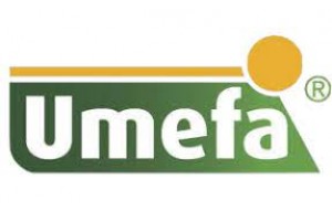 UMEFA