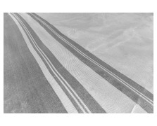 Tent Carpet Χαλί σκηνής Trip, Μήκος 3,5 m